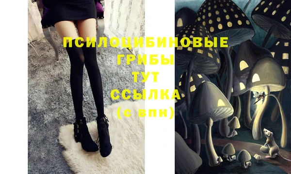 сатива Абинск