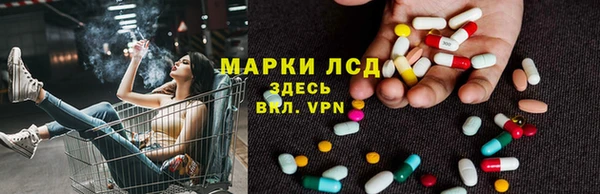 сатива Абинск