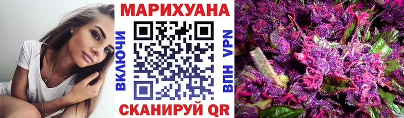 Марихуана планчик  Бежецк 